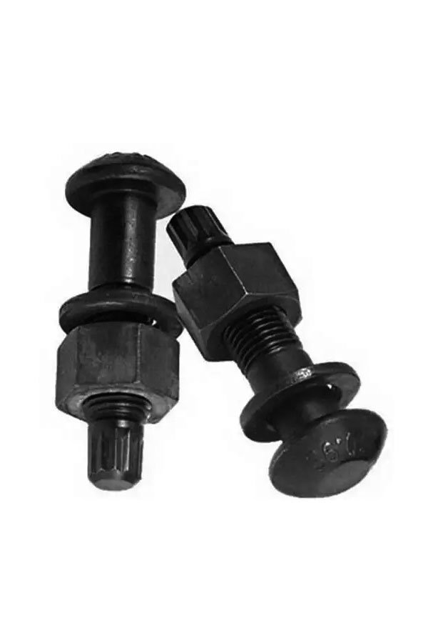10.9S Steel Structure Torsional Shear Bolts
